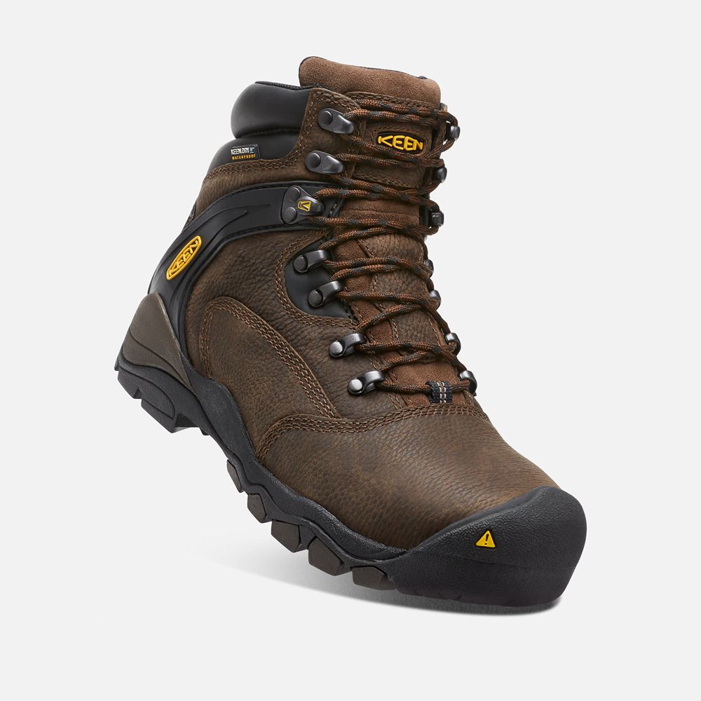 Keen Laarzen Heren Bruin - Louisville 6\" (Steel Toe) - 46831-TFRX